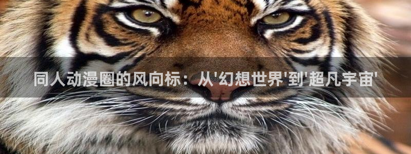 行业资讯